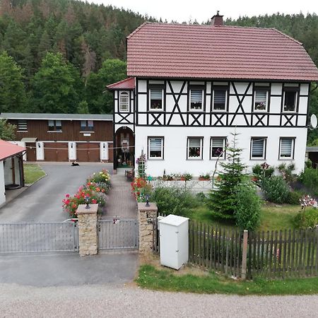 Fewo An Der Klosterruine Paulinzella Mit Kostenfreien Parkplatz Und Wlan Luaran gambar