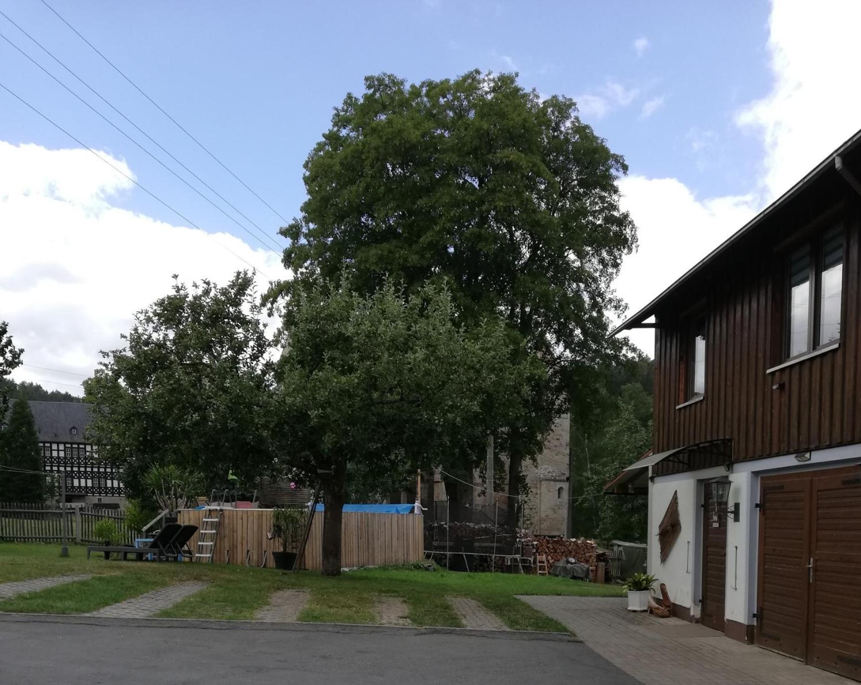 Fewo An Der Klosterruine Paulinzella Mit Kostenfreien Parkplatz Und Wlan Luaran gambar