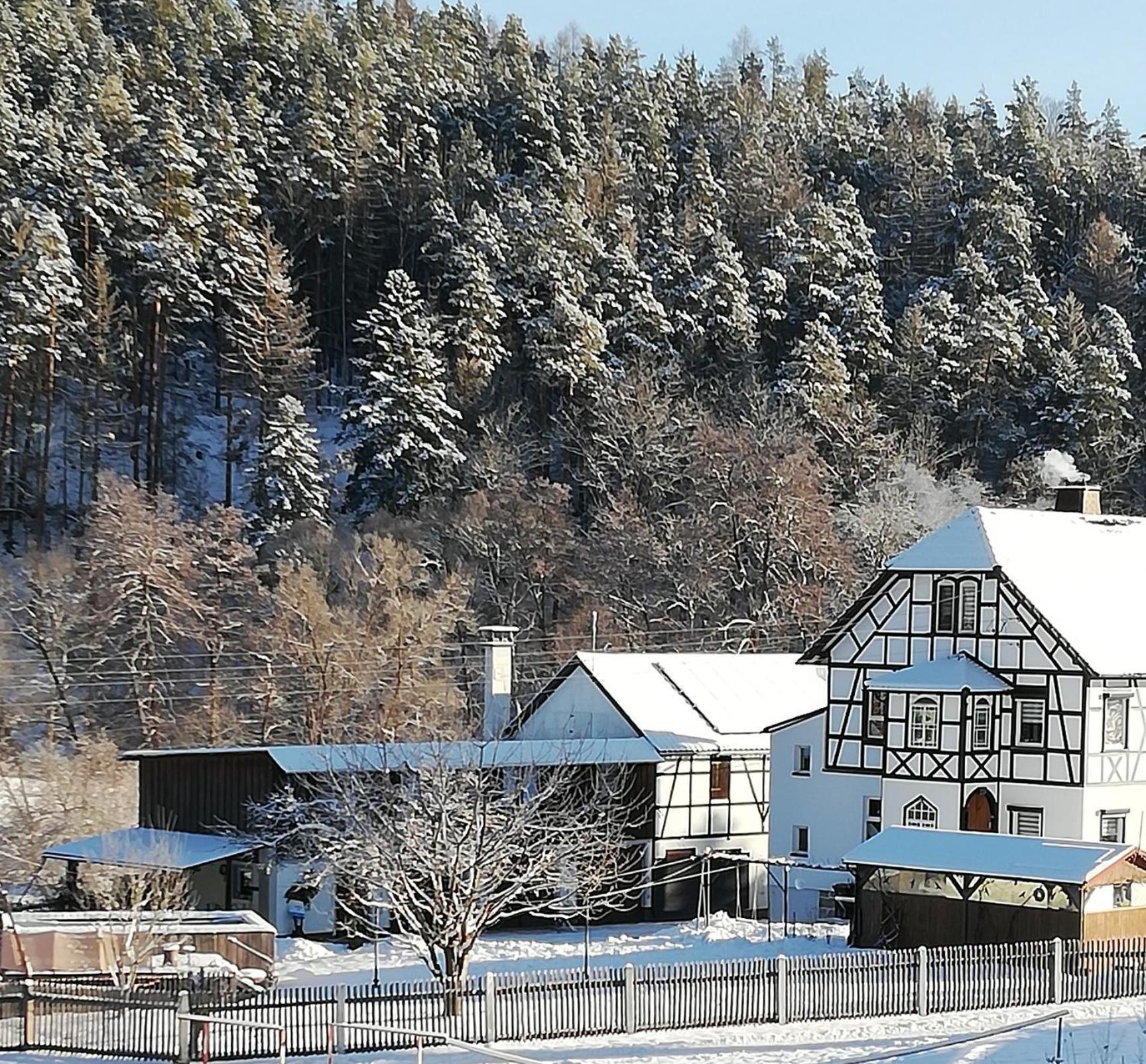 Fewo An Der Klosterruine Paulinzella Mit Kostenfreien Parkplatz Und Wlan Luaran gambar